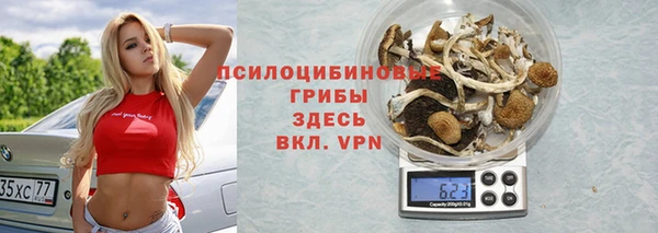 молекула духа Киренск