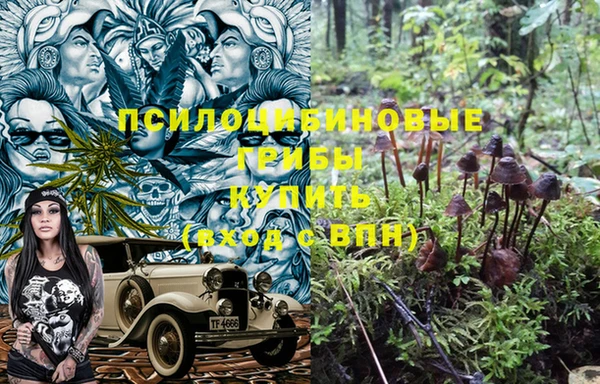 молекула духа Киренск